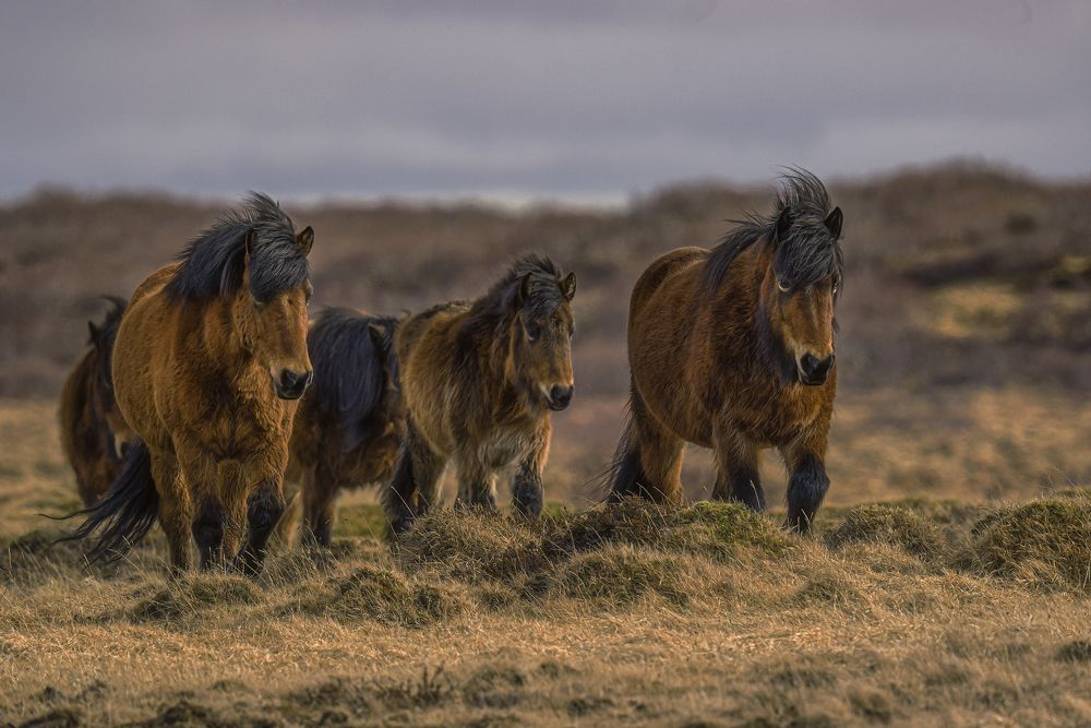 Photograph by Шварцман Евгений