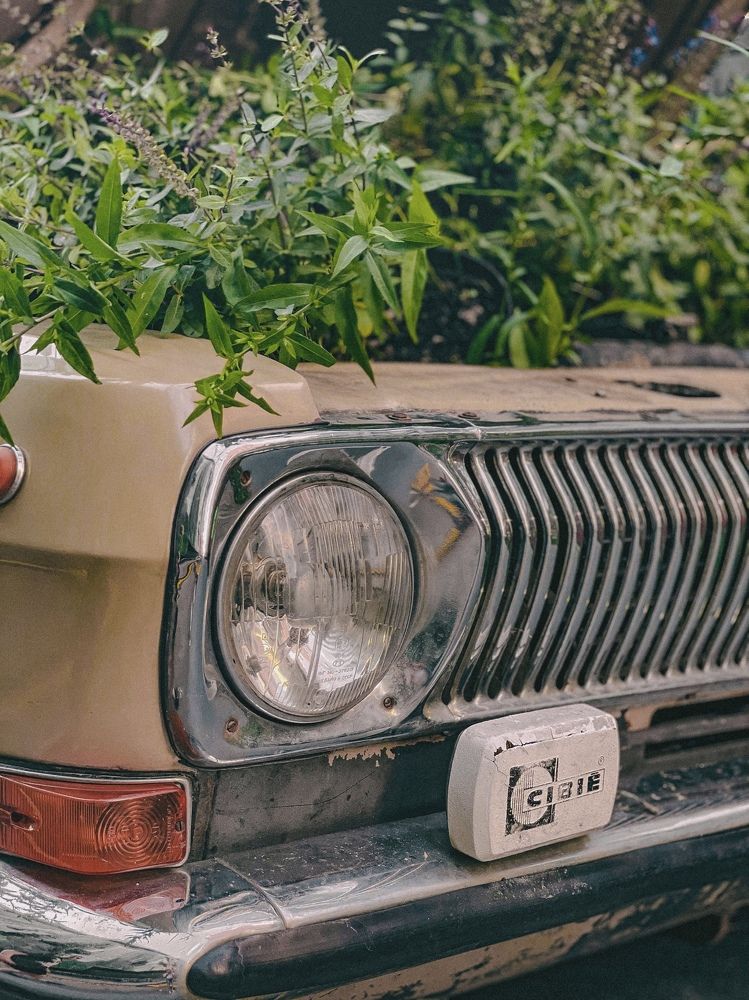 Photograph by Анастасия Каланакова