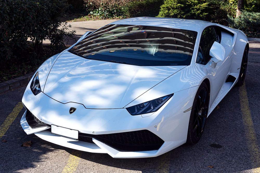 Фотография автора Faller Tamás