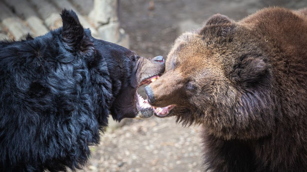 Photograph by Валентин Кольцов