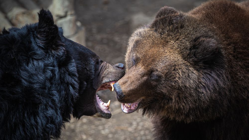 Photograph by Валентин Кольцов