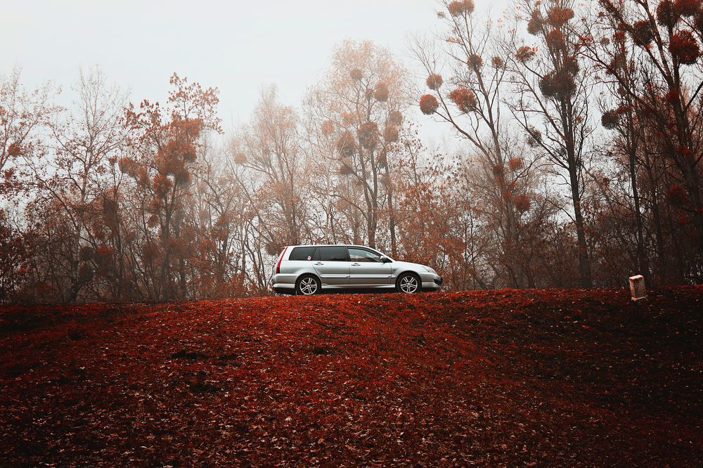 Photograph by Adrian Eperjessy