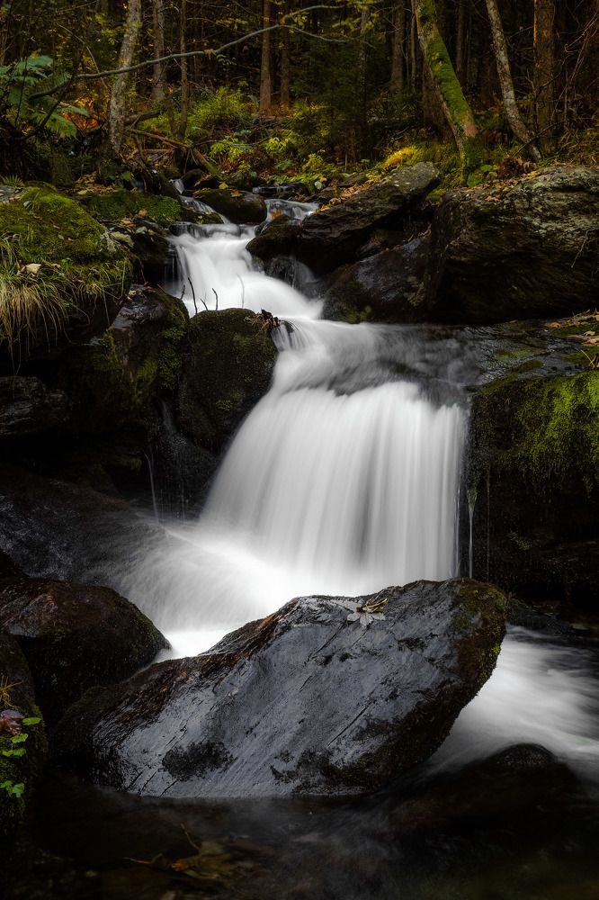 Photograph by Yana Marinova