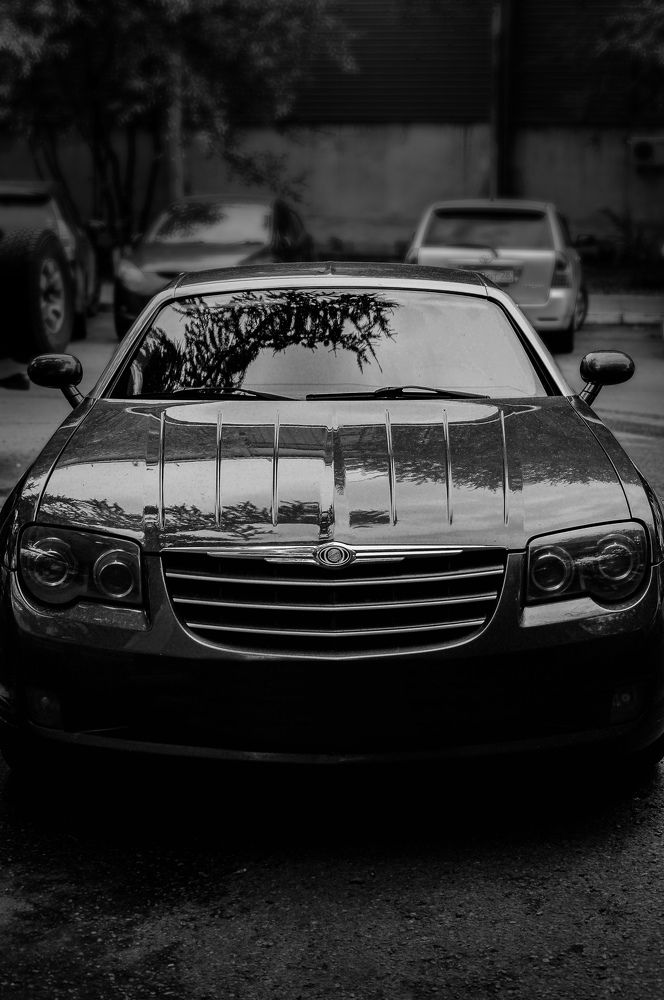 Фотография автора Анастасия Бондарь