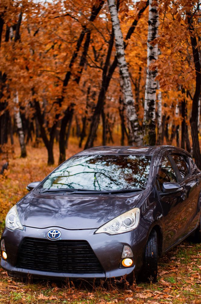 Фотография автора Анастасия Бондарь