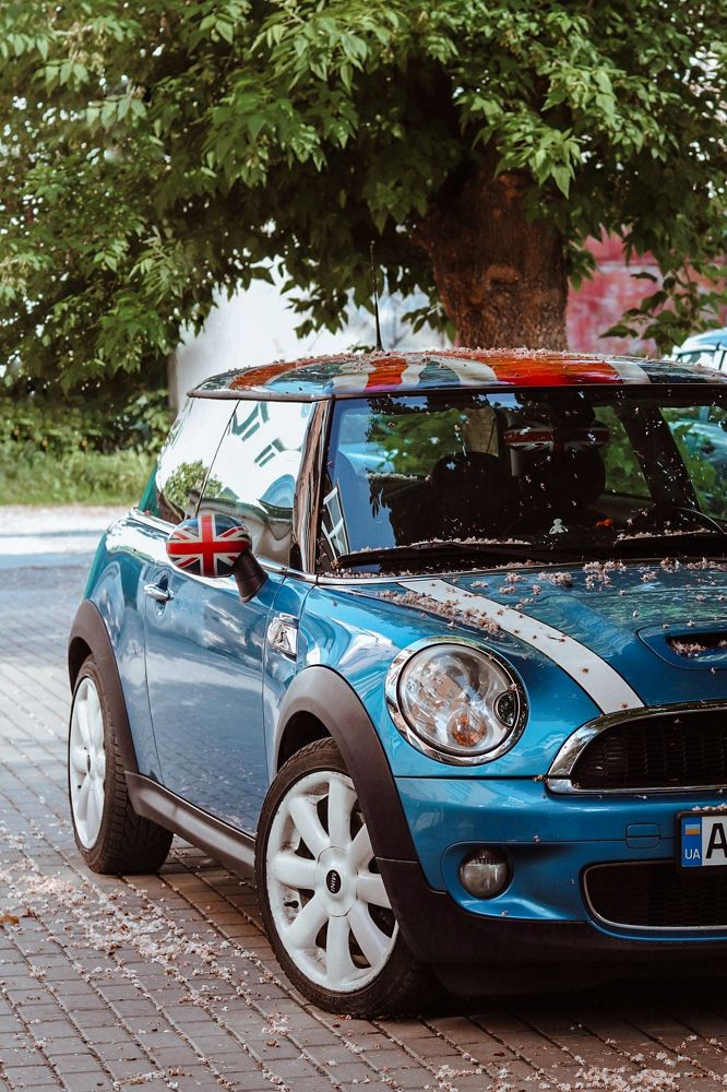 Photograph by Мазенко Галина