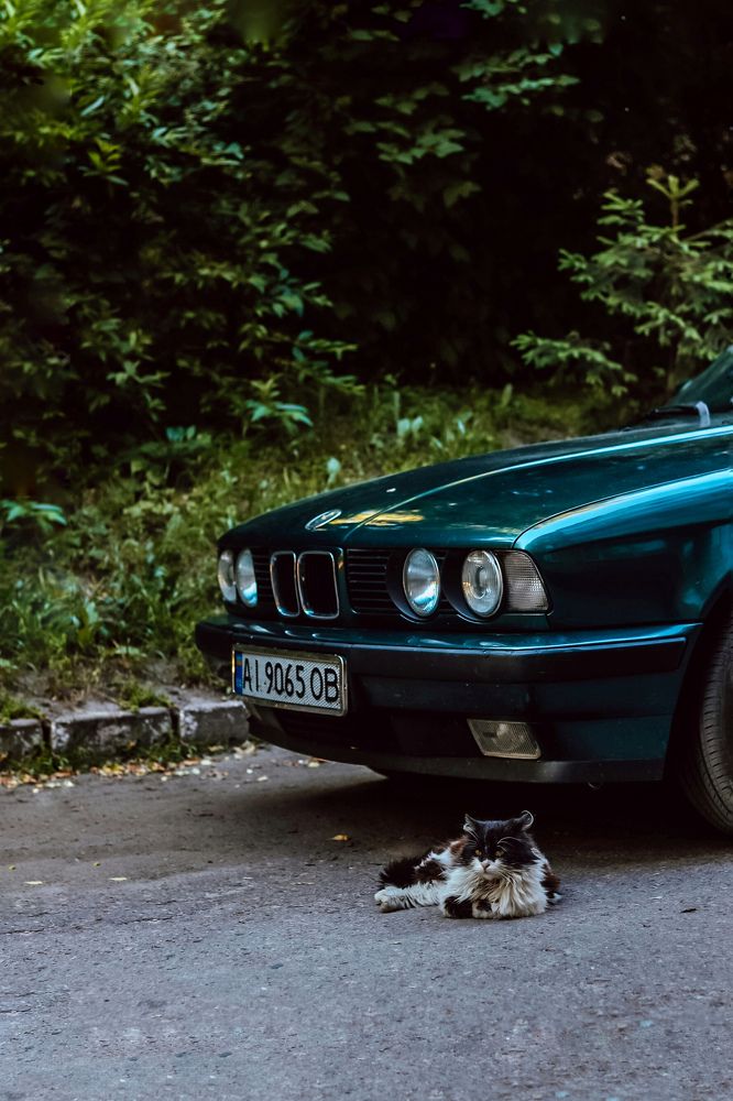 Photograph by Мазенко Галина