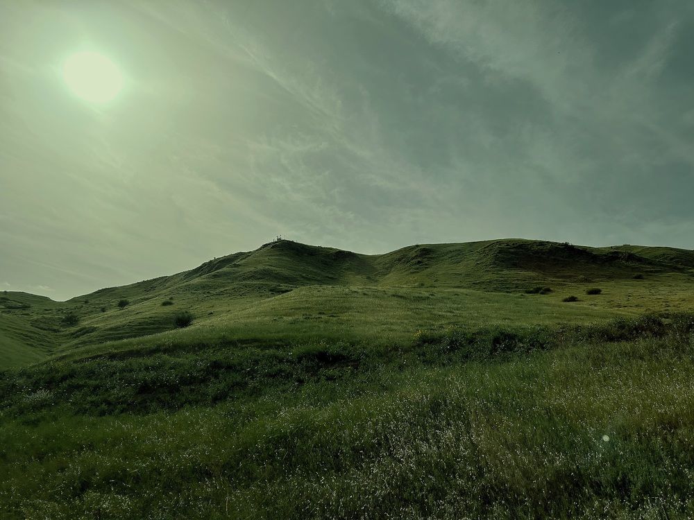 Photograph by Denis Hillel Schatz