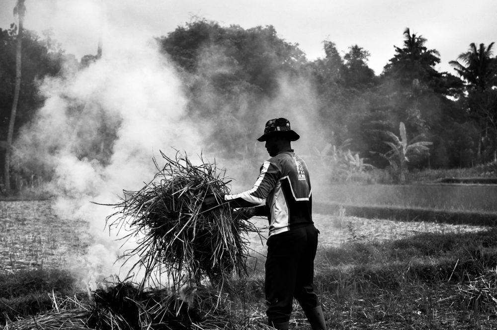 Photograph by Dina Gumanty