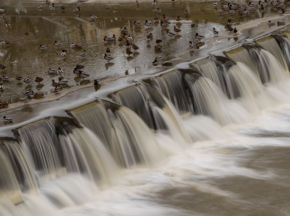 Фотография автора Елена Бурцева