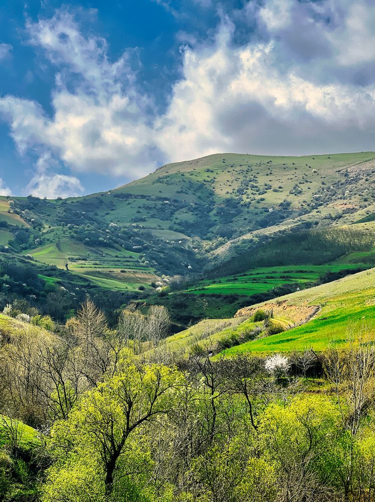 Photograph by Arash Hashemi