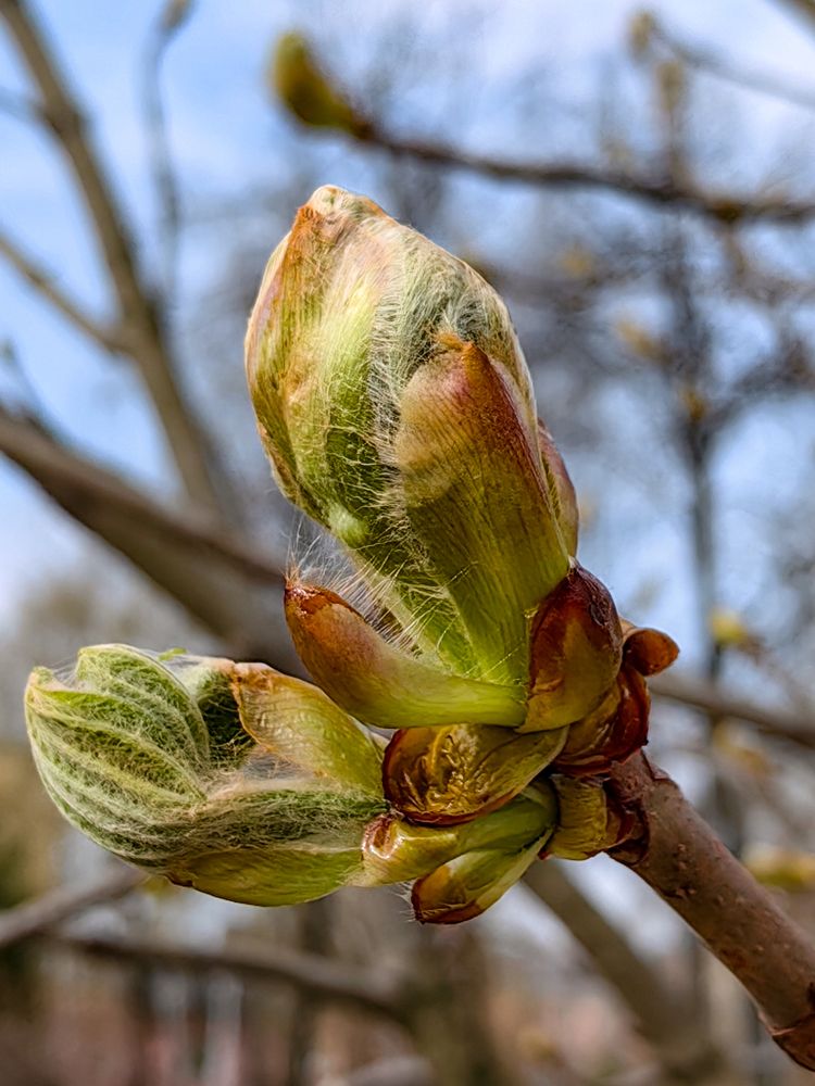 Photograph by Наталья