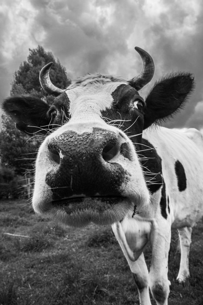 Photograph by Marco Vinicio Garzón Maya