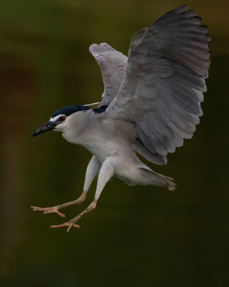 Photograph by Mahesh Kumar