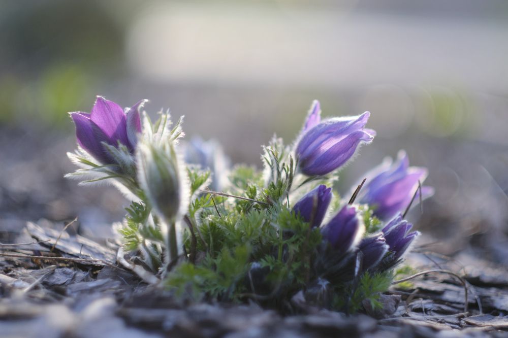 Photograph by Владислав Титов