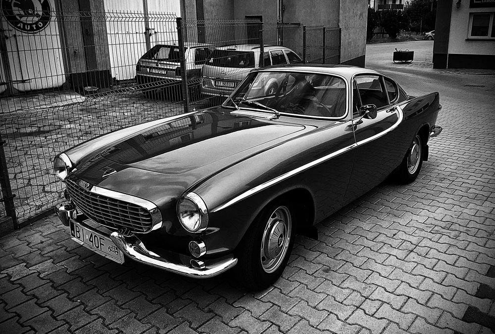 Photograph by Артём Амельянчик