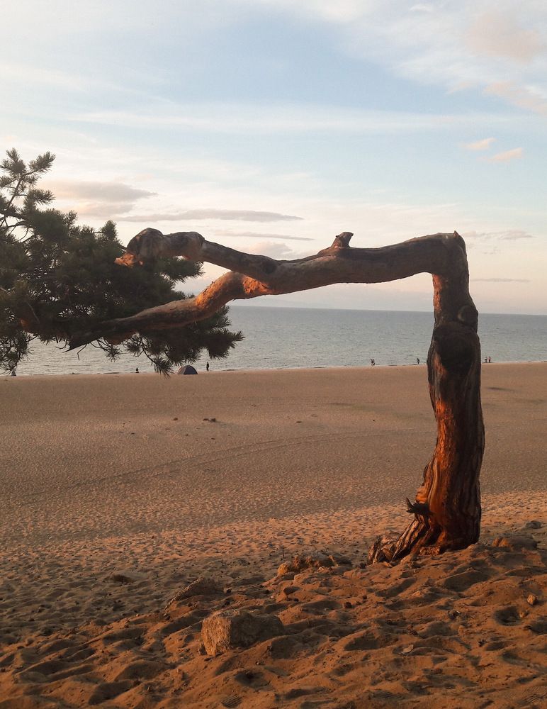 Photograph by Татьяна