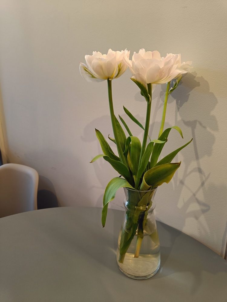 Photograph by Карина Слабкая