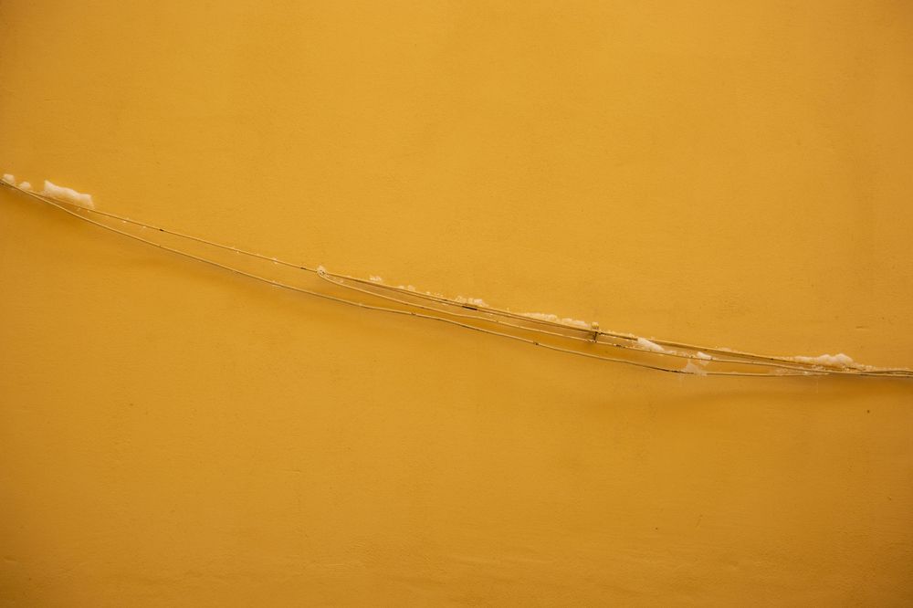 Photograph by Nadezhda Bakina