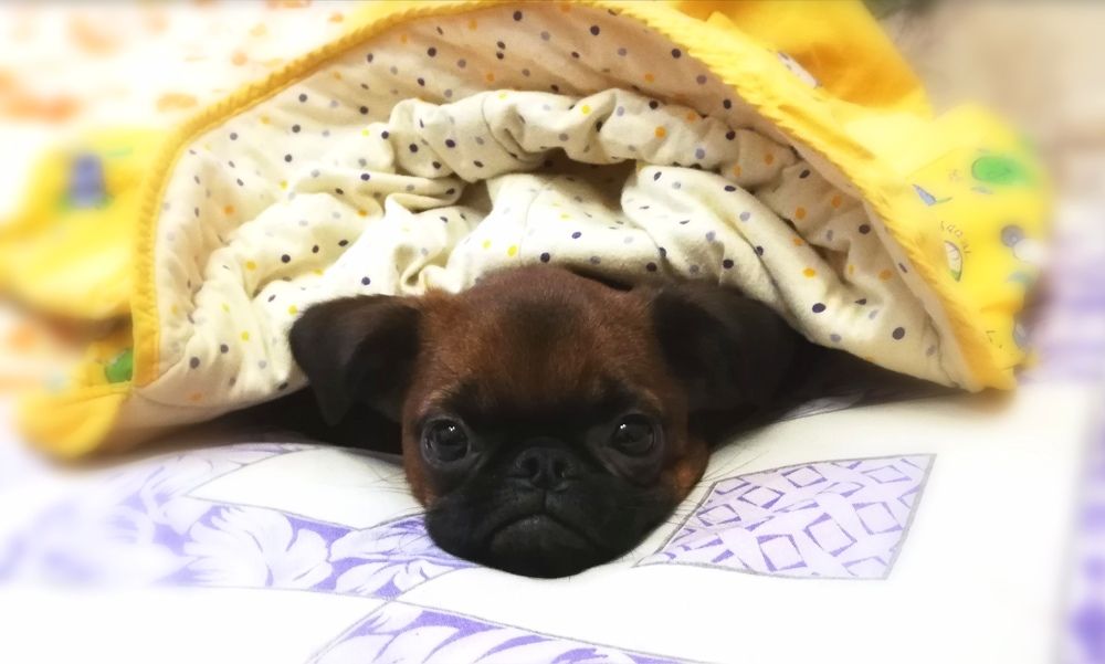 Photograph by Лариса Неудачина