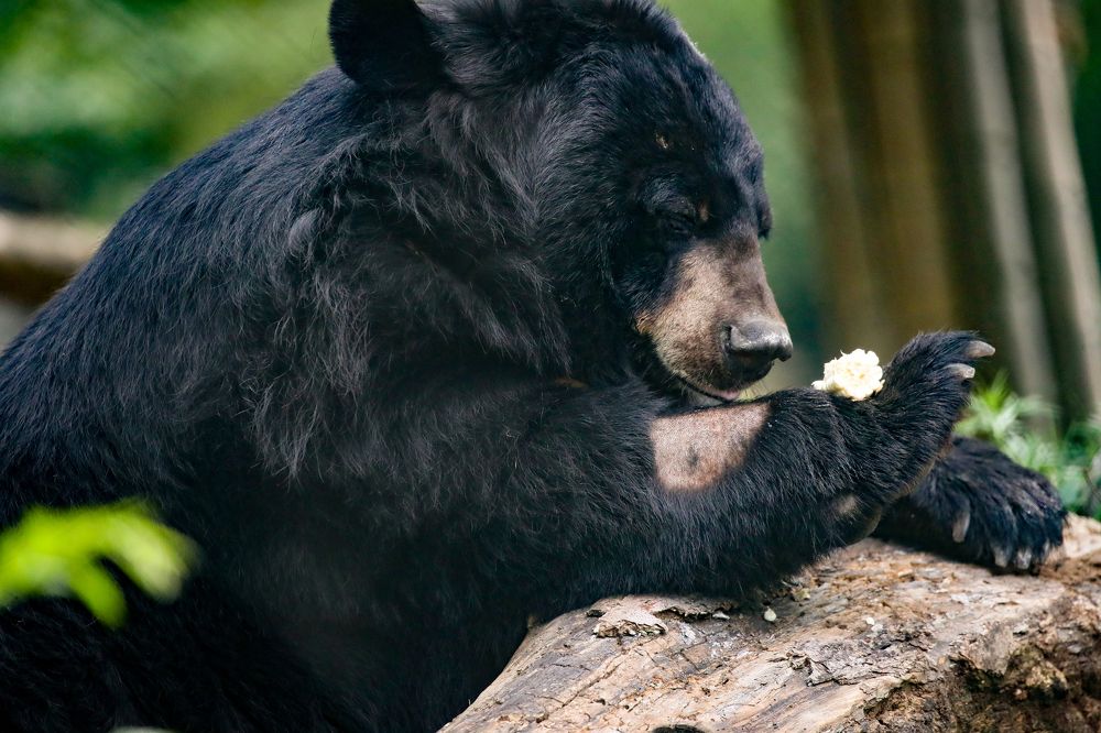 Photograph by Liu Lock