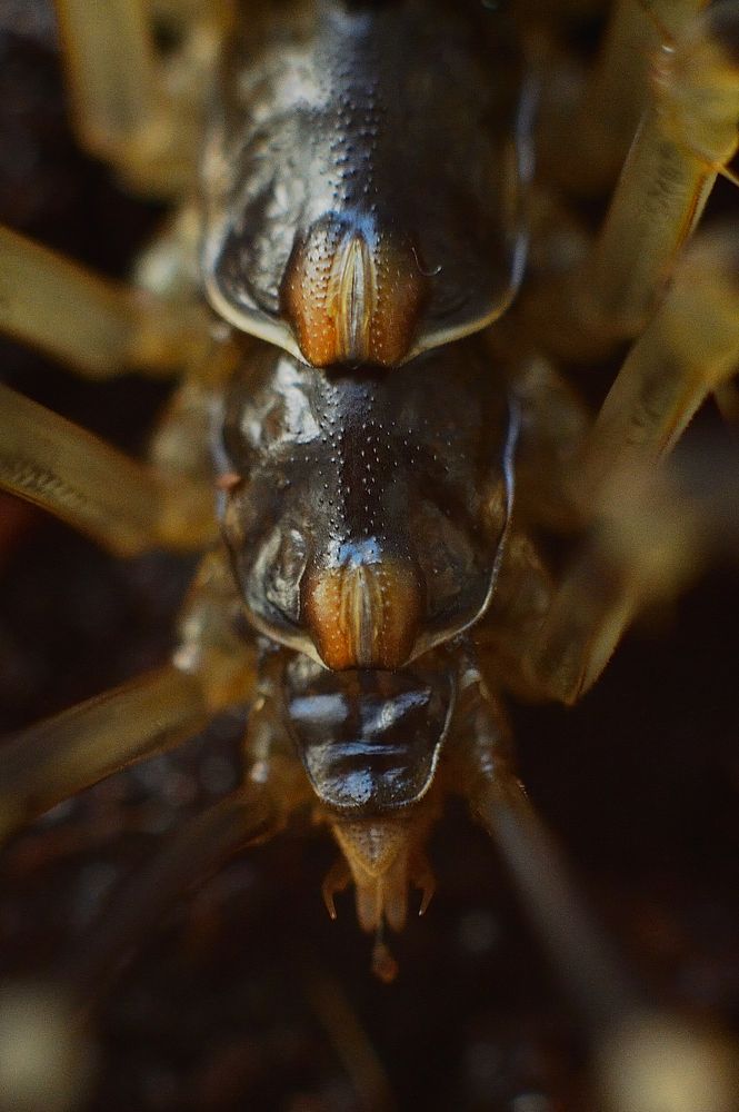 Photograph by Полина Разумова