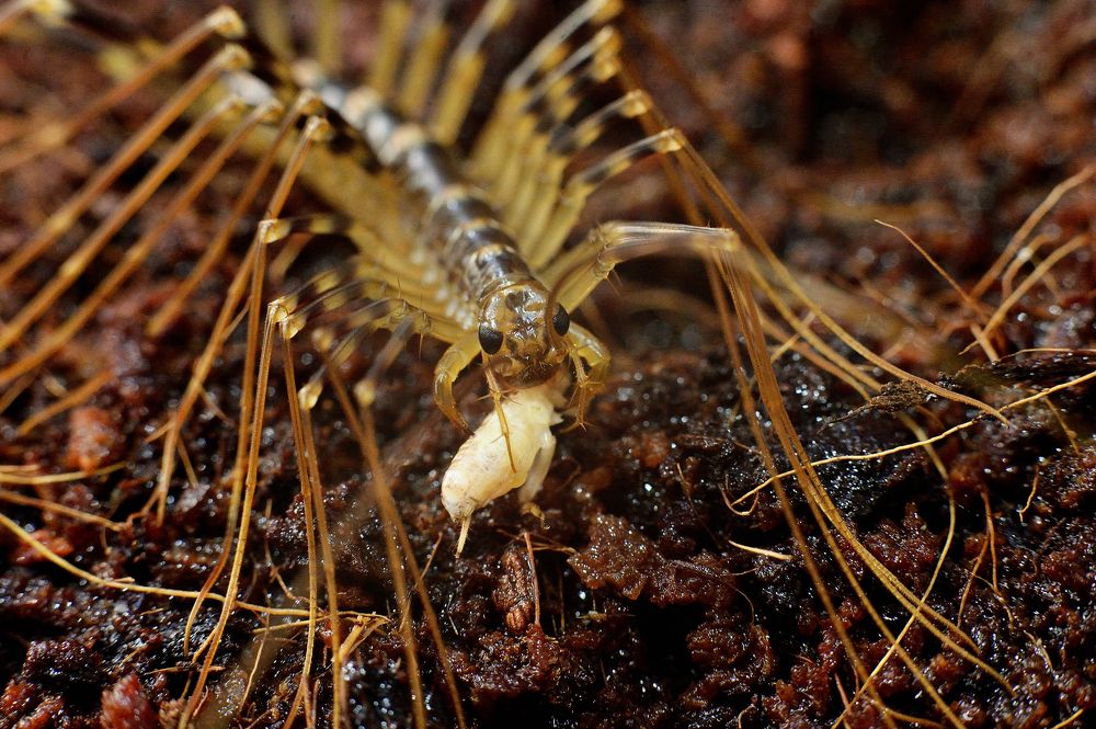 Photograph by Полина Разумова