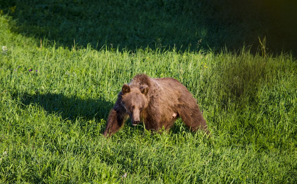 Photograph by Ильдус