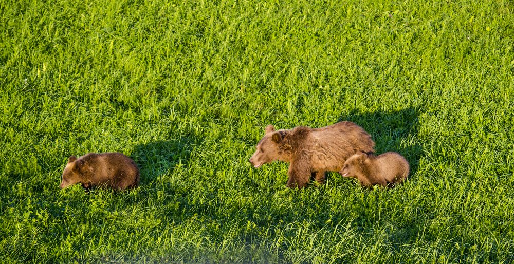 Photograph by Ильдус