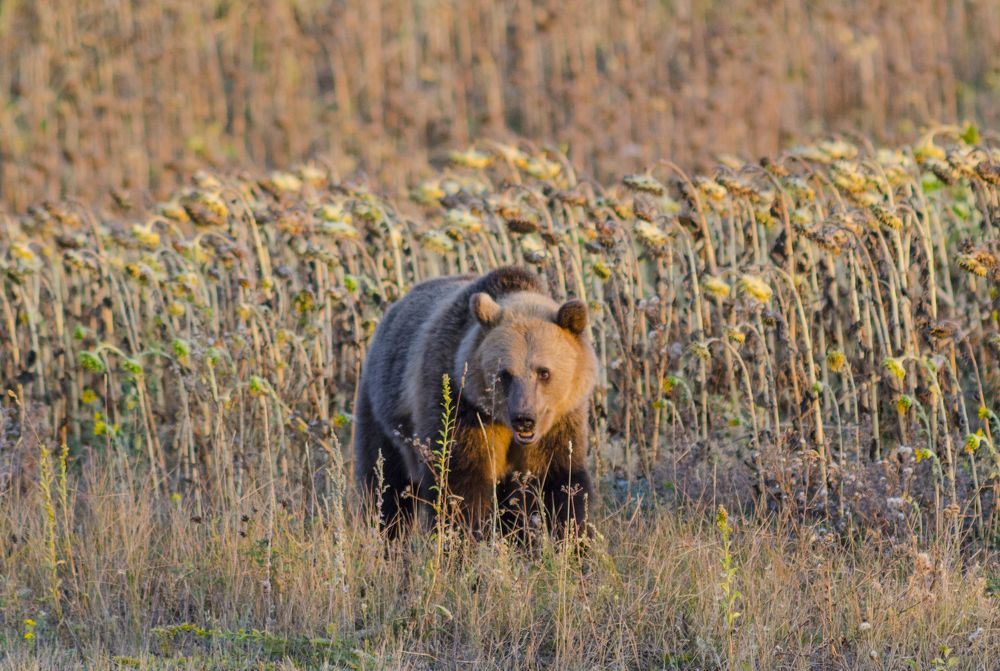 Photograph by Ильдус
