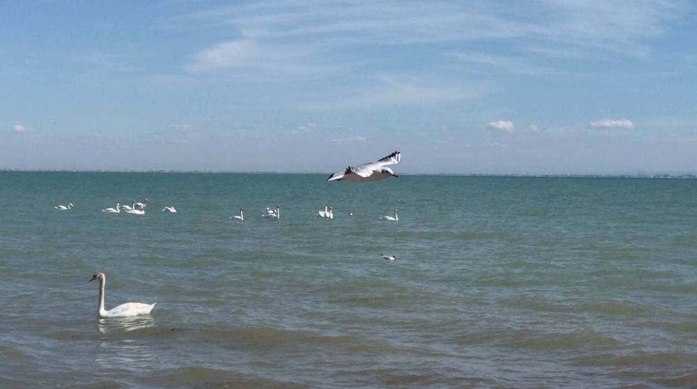 Photograph by Злата Иванченко