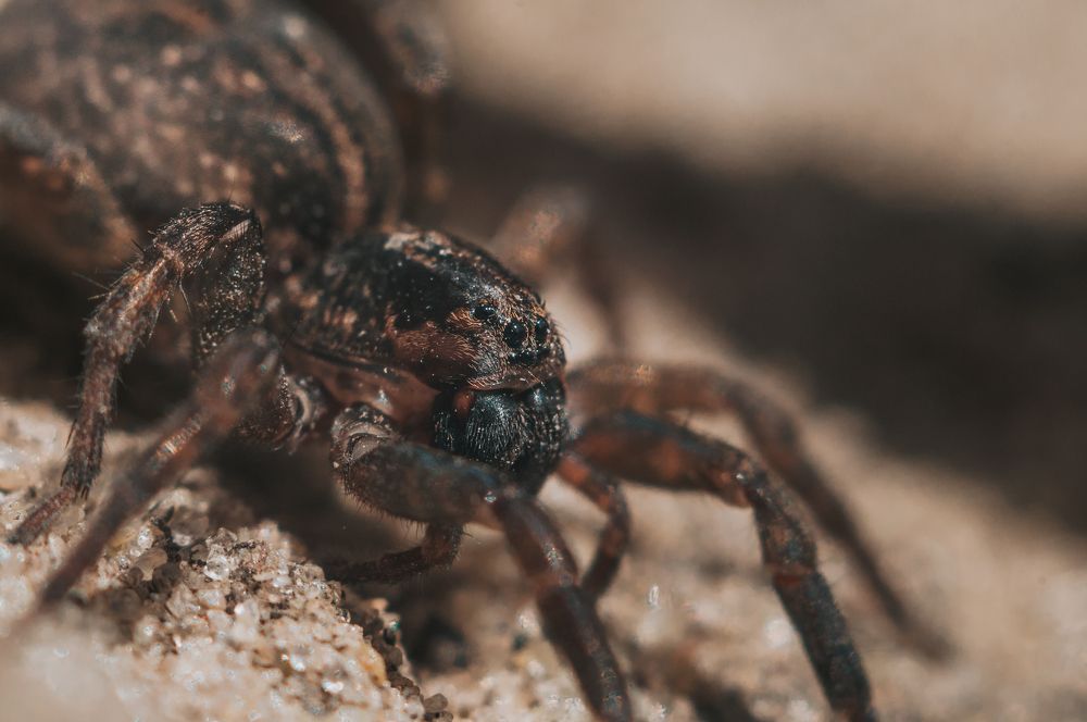 Photograph by Софья Лученкова