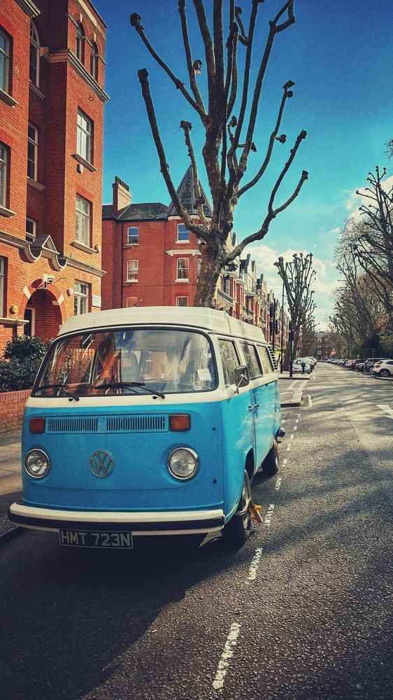 Photograph by Zinaida Sassarini