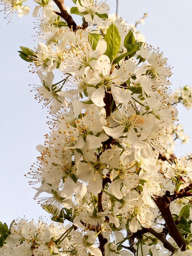 Photograph by Татьяна Пальчикова