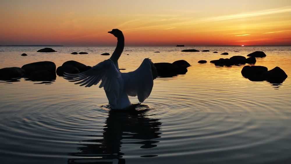 Photograph by Karina Arutjunova