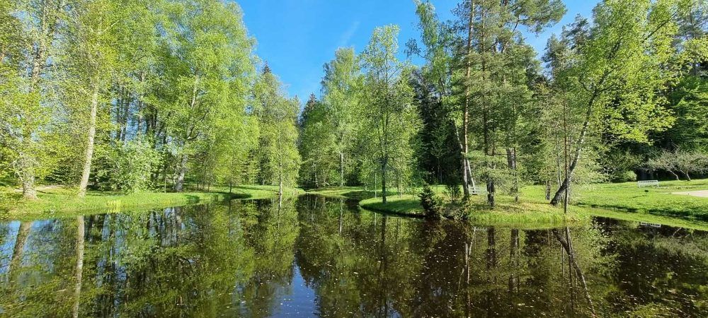 Photograph by Алёна Савицкая