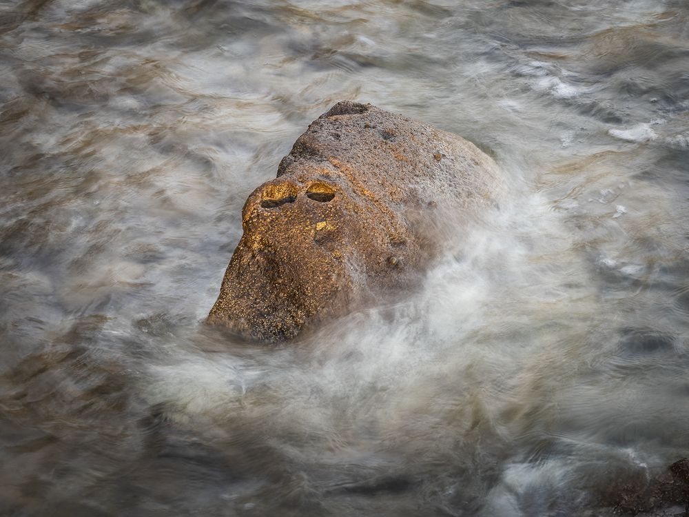 Don't wake the sea guard