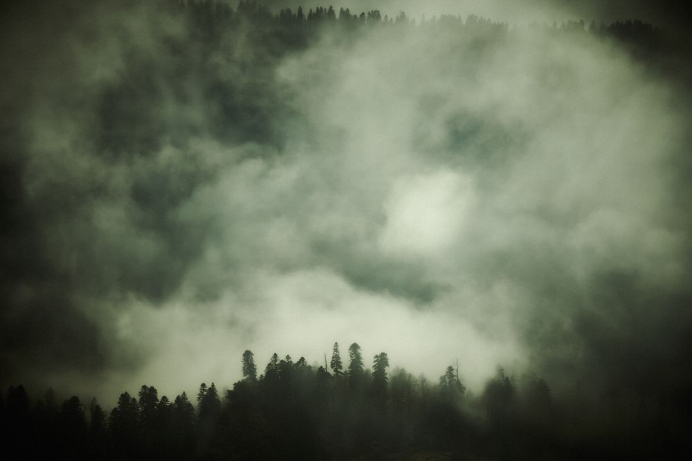 Не видно лишь то, что не хочешь увидеть