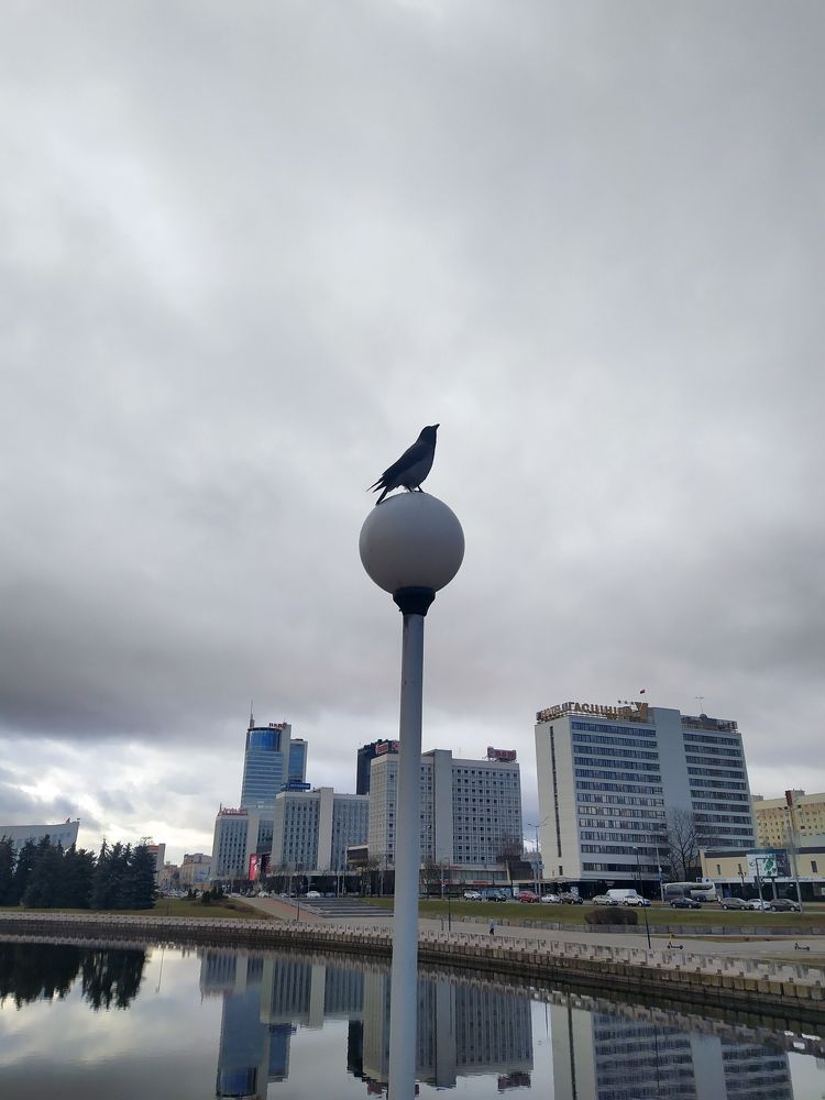 Photograph by Marina