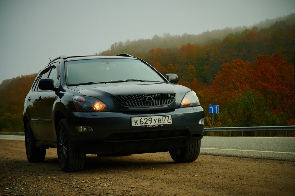 Сквозь осень