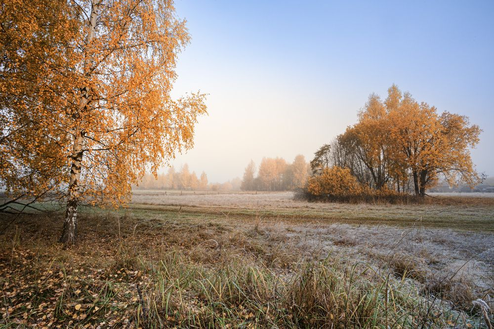 Золотая осень