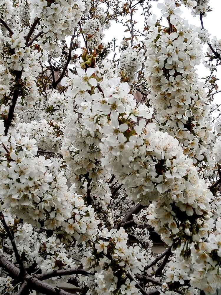 Photograph by Татьяна Пальчикова