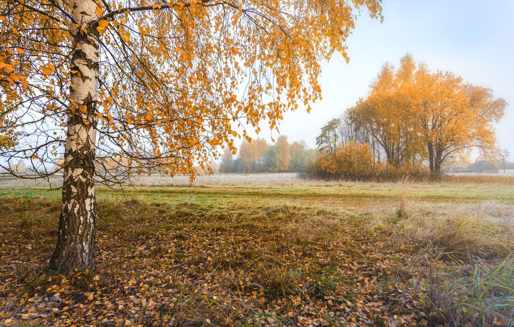 Photograph by Зеленько Дмитрий