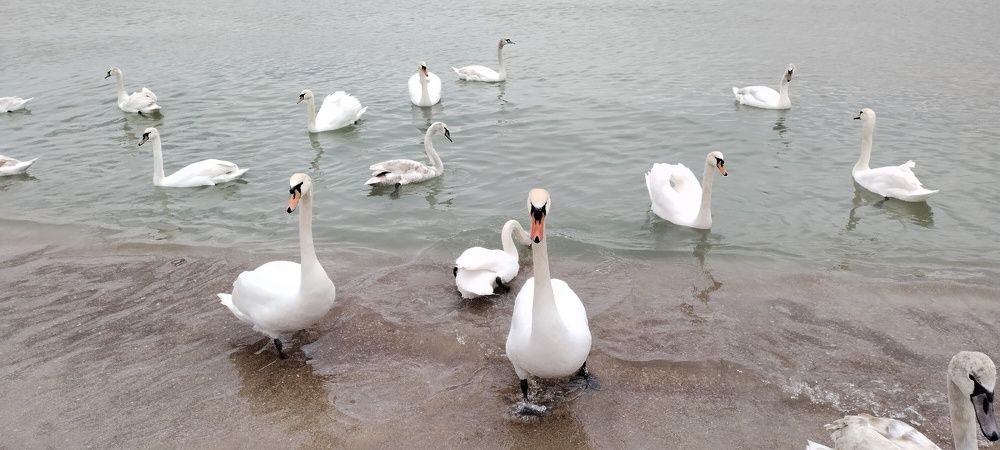 Photograph by Злата Иванченко