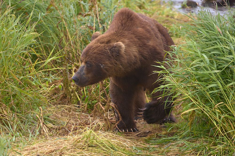 Фотография автора Mikhaylov Mikhail