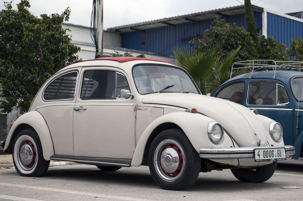 Photograph by Антон Шаркас