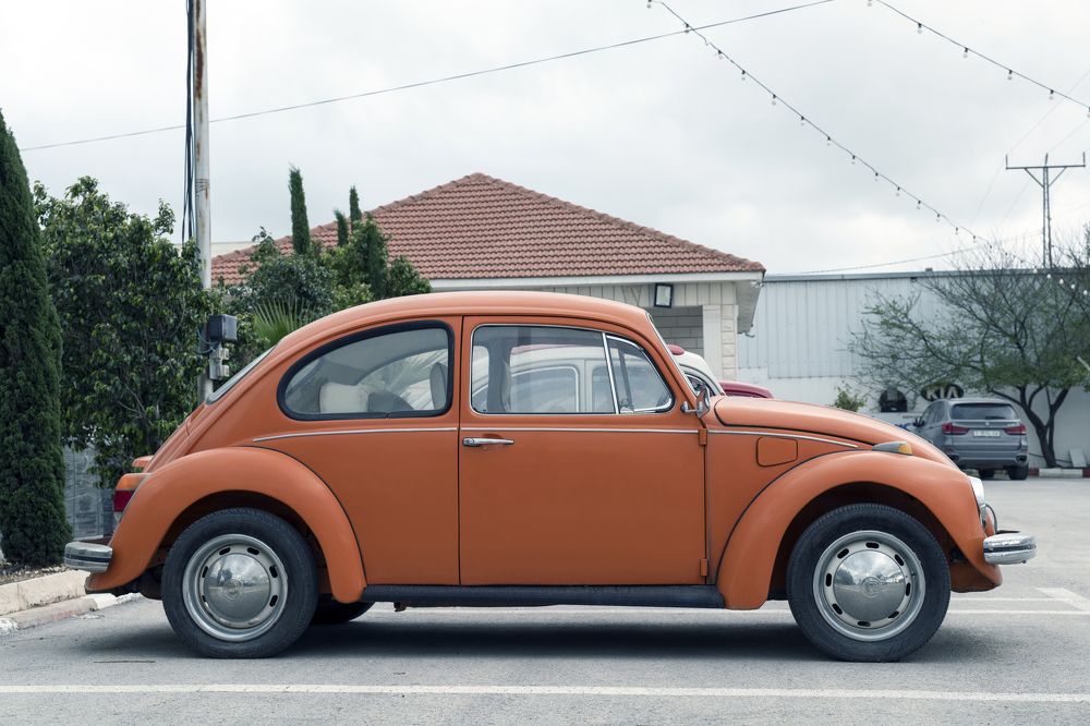 Photograph by Антон Шаркас