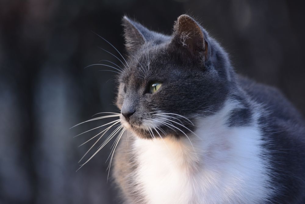 Photograph by Gülşen  Mutlu