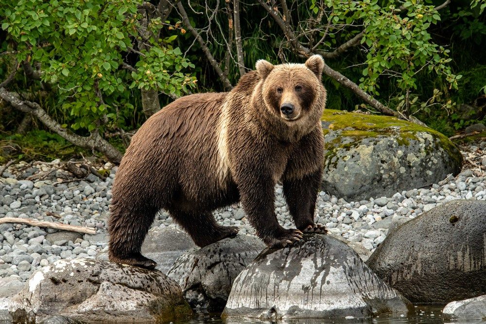 Photograph by Анна