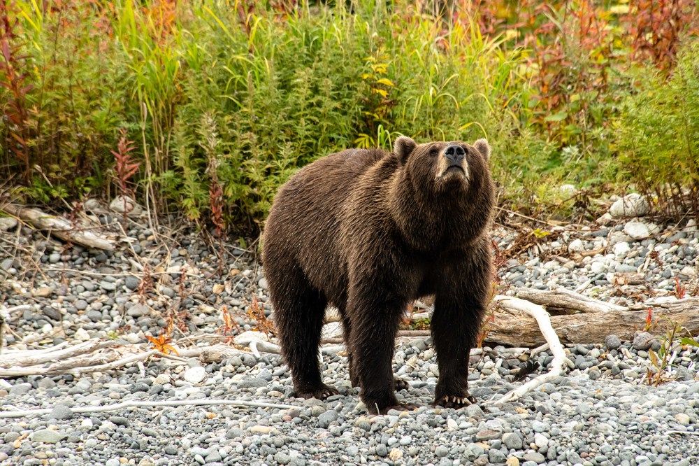 Photograph by Анна